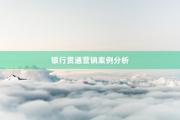 银行贯通营销案例分析